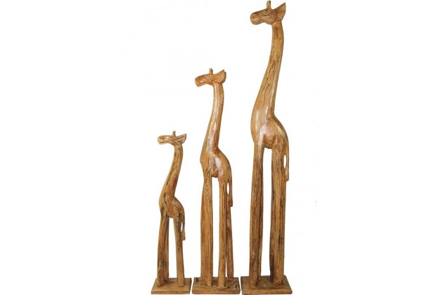 Pl 3 Żyrafy-Przec.