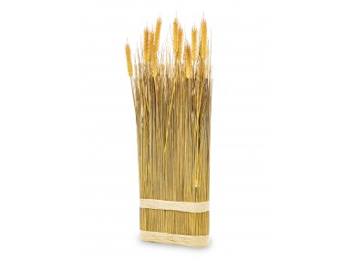 Roślina Dekoracyjna